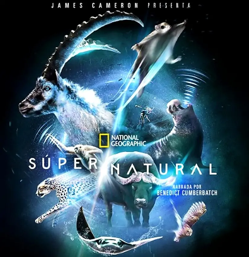 Super Natural о природе Животные на темном фоне из фильма Сверх/Естественное